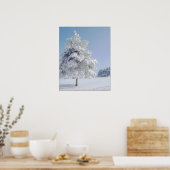 Snow Kissed Tree Poster (Küche)