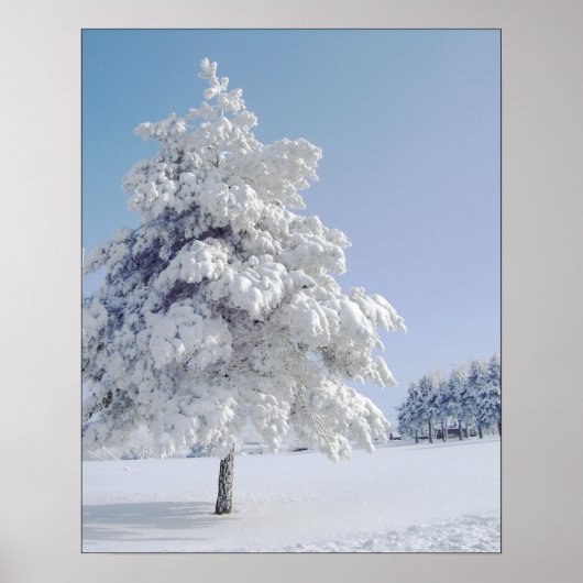 Snow Kissed Tree Poster (Vorne)