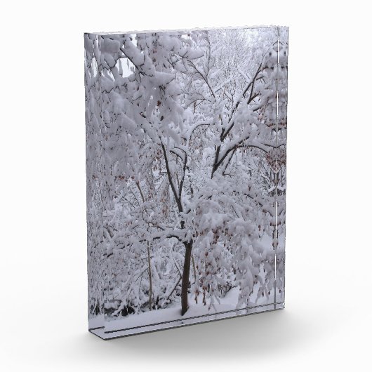 Snow-Laden Bäume Fotoblock (Links)