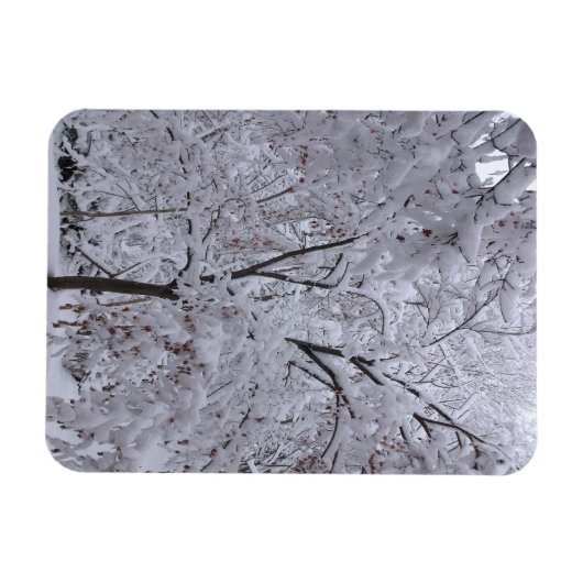 Snow-Laden Bäume Magnet (Horizontal)