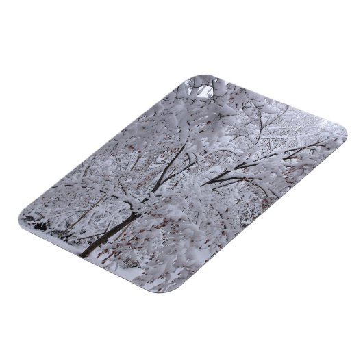 Snow-Laden Bäume Magnet (Linke Seite)