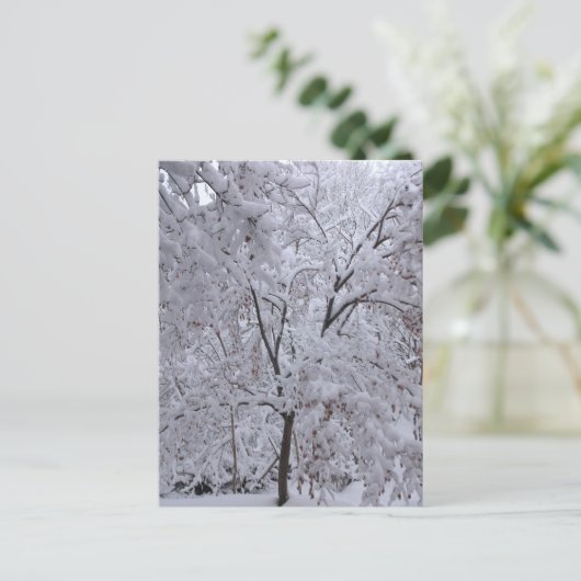 Snow-Laden Bäume Postkarte (Stehend Vorderseite)