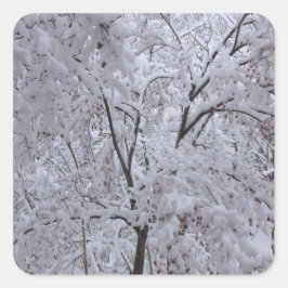 Snow-Laden Bäume Quadratischer Aufkleber