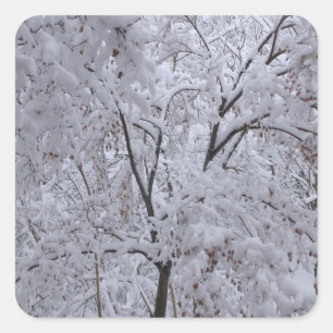 Snow-Laden Bäume Quadratischer Aufkleber