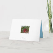 Snow Lady Weihnachtskarte Feiertagskarte (Rückseite)