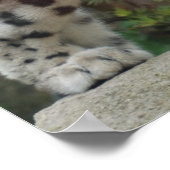 Snow Leopard 2 Poster (Ecke)