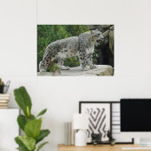 Snow Leopard 2 Poster (Heimbüro)