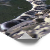 Snow Leopard am Fluss Poster (Ecke)