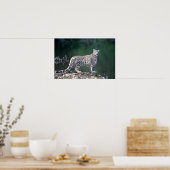 Snow Leopard am Fluss Poster (Küche)