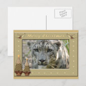 Snow Leopard-BCR-c-158 copy Postkarte (Vorne/Hinten)