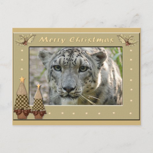 Snow Leopard-BCR-c-158 copy Postkarte (Vorderseite)