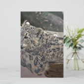 Snow Leopard Briefpapier (Stehend Vorderseite)