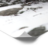 Snow Leopard Brothers Walking Poster (Ecke)