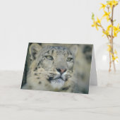 Snow Leopard Close Up Karte (Gelbe Blume)