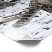 Snow Leopard Cub Fotodruck (Ecke)
