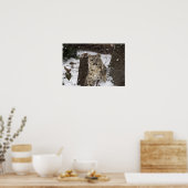 Snow Leopard Cub Poster (Küche)