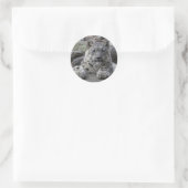 Snow Leopard Cub sitzend Runder Aufkleber (Tasche)