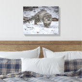 Snow Leopard Cub Stalking Leinwanddruck (Insitu (Schlafzimmer))