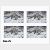 Snow Leopard Cub Stalking Rechteckiger Aufkleber (Blatt)