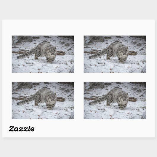 Snow Leopard Cub Stalking Rechteckiger Aufkleber (Blatt)