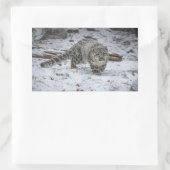 Snow Leopard Cub Stalking Rechteckiger Aufkleber (Tasche)