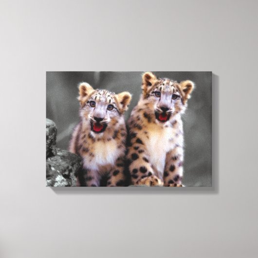 Snow Leopard Cubs Leinwanddruck (Vorderseite)