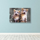 Snow Leopard Cubs Leinwanddruck (Insitu (Holzboden))