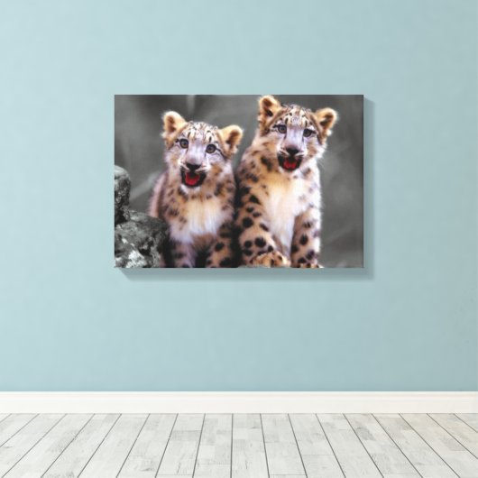 Snow Leopard Cubs Leinwanddruck (Insitu (Holzboden))