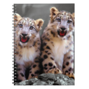 Snow Leopard Cubs Notizblock
