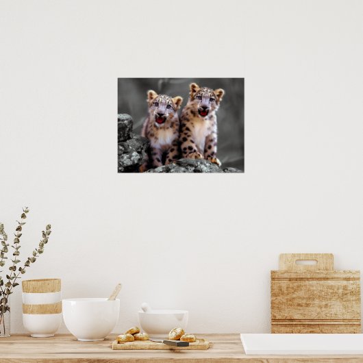 Snow Leopard Cubs Poster (Küche)