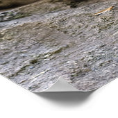 Snow Leopard der Starring Feline Cat Poster (Ecke)