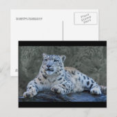 Snow Leopard Dreams Postkarte (Vorne/Hinten)