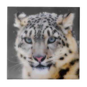 Snow Leopard Fliese