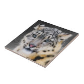 Snow Leopard Fliese (Seite)