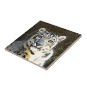 Snow Leopard Fliese (Seite)