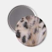 Snow Leopard Fur Magnet (Vorderseite/Rückseite)