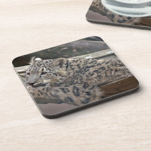 Snow Leopard Getränkeuntersetzer (Linke Seite)