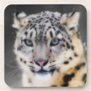 Snow Leopard Getränkeuntersetzer