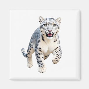 Snow Leopard glücklich spielerischer Spaß beim Spr Magnet