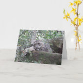 Snow Leopard Greeting Card Karte (Gelbe Blume)