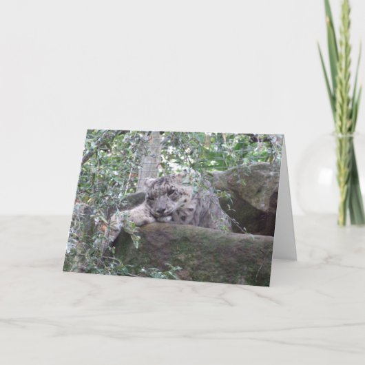 Snow Leopard Greeting Card Karte (Vorderseite)