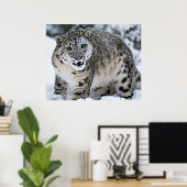 Snow Leopard Growling Poster (Heimbüro)