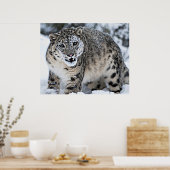 Snow Leopard Growling Poster (Küche)