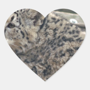Snow Leopard Herz-Aufkleber