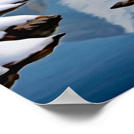 Snow Leopard in der Berglandschaft Poster (Ecke)