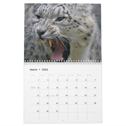 Snow Leopard-Kalender Kalender (Mär 2026)