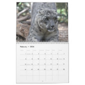 Snow Leopard-Kalender Kalender (Feb 2026)