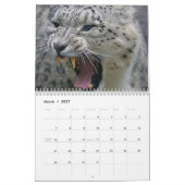 Snow Leopard-Kalender Kalender (Mär 2027)