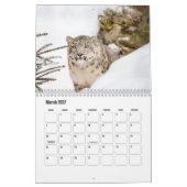Snow Leopard-Kalender Kalender (Mär 2027)