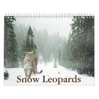 Snow Leopard-Kalender Kalender